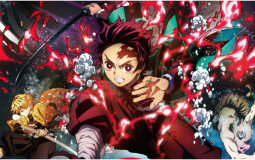 Demon slayer ranking