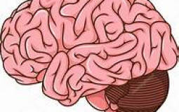 Cartoon Character Intelligence