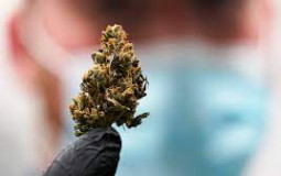 ways to use weed