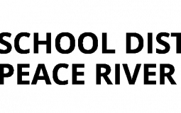 school district tier