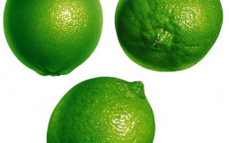 Name h