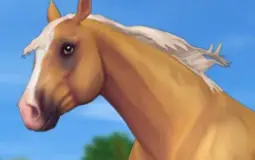My SSO Horses