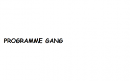Programme Gang