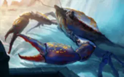 Magic the gathering crabs