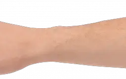Techer