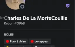 Le Vocal des potes