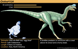 Dinosaur template