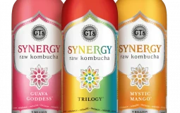 GT Synergy Kombucha Tier List