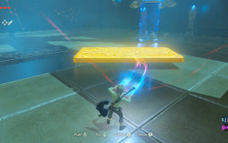 Zelda BOTW and TOTK abilities