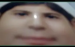 Skribble ranking