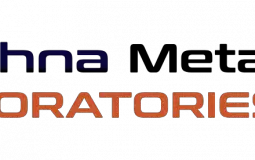 Krishna Metlab