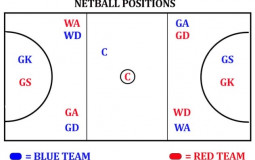 Netball positions Tier List Maker - TierLists.com