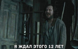 Иерархия