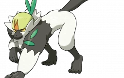 Best Primate Pokemon