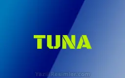 ROBLOX TİER LİST
