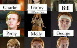Ich RANKE die Weasleys