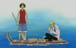One Piece Arcs