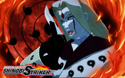 Shinobi Striker