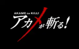 Akame ga Kill Waifus