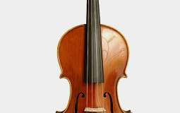 violas