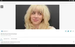 bille eilsh 2