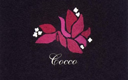 cocco