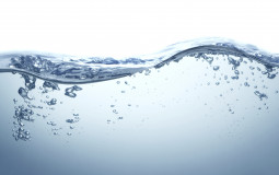 Water 1-24