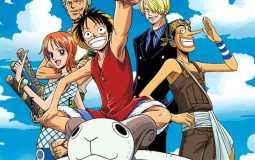 One Piece Arcs