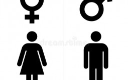 gender tier list