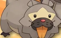 Lockstin&Gnoggin kaskade Pokémon
