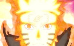 ANIMÉS ZEBI