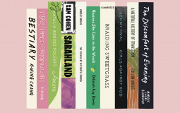 Short story collections