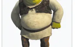 wdym
