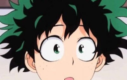 Vaild & Not Vaild MHA Fans