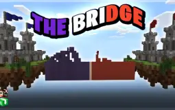 Best Bridge Server