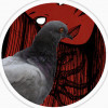 Aidan sudds Avatar