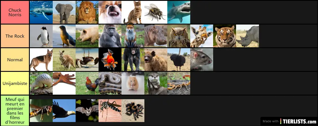 animal tier list