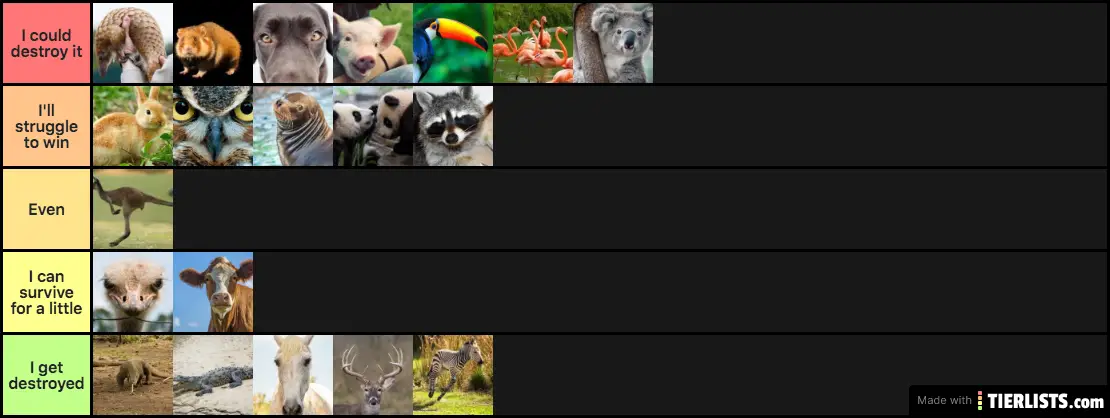 Animals I can beat in a fight Tier List - TierLists.com