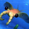 AnomalocarisEnjoy Avatar