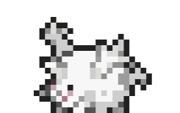 amiglerngner