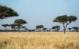 Aspects of Africa ranked in order of importance