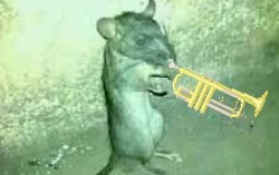 anti sleep war members