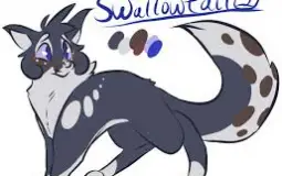 Warrior cats!