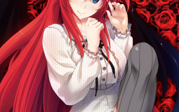Top waifu's