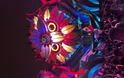 Edc Orlando
