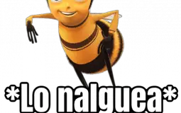 mejor viwer de dumkofp