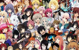 Anime Rankings