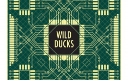 Wild Ducks cards, 3rd edition