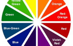 Synesthesia