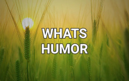 WHATS&HUMOR